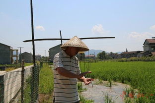 縣老科協(xié) 老驥伏櫪獻余熱