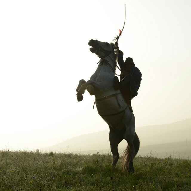 學(xué)海無(wú)涯，伏櫪前行